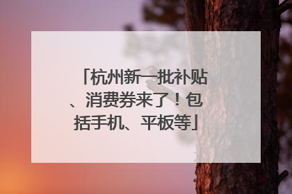 杭州新一批补贴、消费券来了！包括手机、平板等