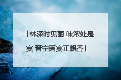 林深时见菌 味浓处是宴 晋宁菌宴正飘香
