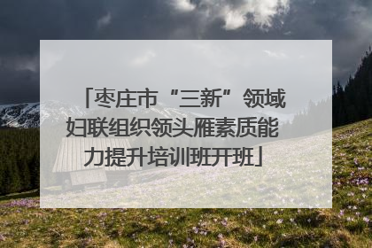 枣庄市“三新”领域妇联组织领头雁素质能力提升培训班开班
