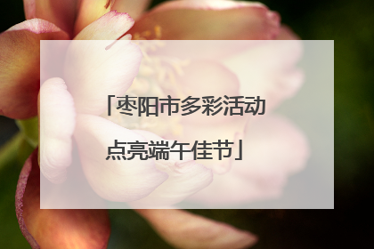 枣阳市多彩活动点亮端午佳节