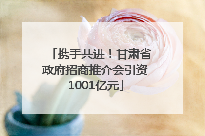 携手共进！甘肃省政府招商推介会引资1001亿元