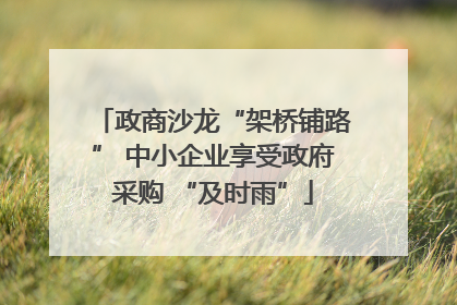 政商沙龙“架桥铺路” 中小企业享受政府采购 “及时雨”