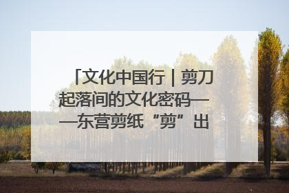 文化中国行｜剪刀起落间的文化密码——东营剪纸“剪”出非遗传承与现代生活的融合之道