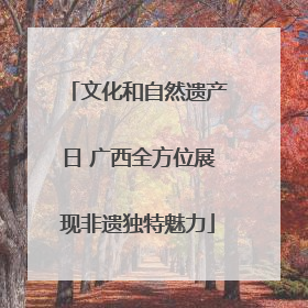 文化和自然遗产日 广西全方位展现非遗独特魅力