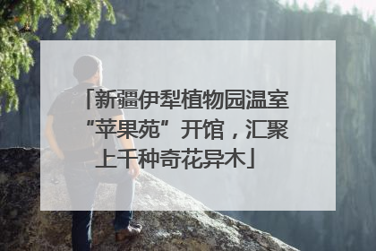 新疆伊犁植物园温室“苹果苑”开馆，汇聚上千种奇花异木