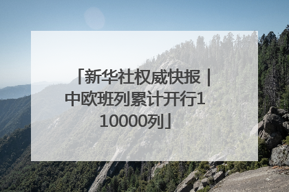 新华社权威快报｜中欧班列累计开行110000列