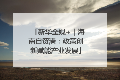 新华全媒+｜海南自贸港：政策创新赋能产业发展