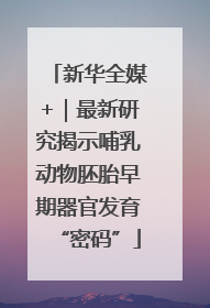 新华全媒+｜最新研究揭示哺乳动物胚胎早期器官发育“密码”