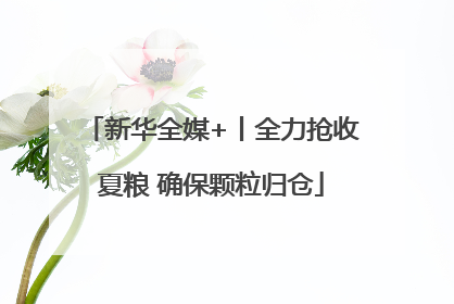 新华全媒+丨全力抢收夏粮 确保颗粒归仓