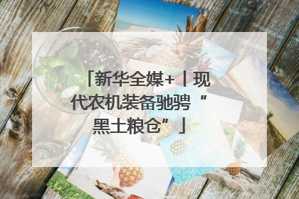 新华全媒+丨现代农机装备驰骋“黑土粮仓”
