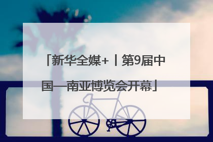 新华全媒+丨第9届中国—南亚博览会开幕