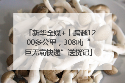 新华全媒+丨跨越1200多公里，308吨“巨无霸快递”送货记