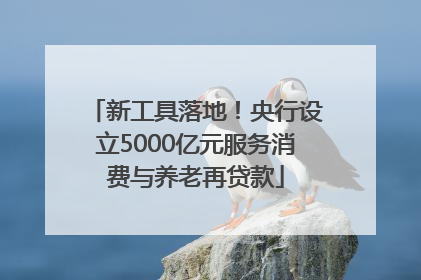 新工具落地！央行设立5000亿元服务消费与养老再贷款