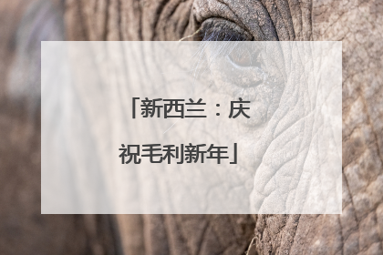 新西兰：庆祝毛利新年