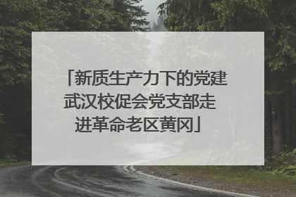 新质生产力下的党建 武汉校促会党支部走进革命老区黄冈