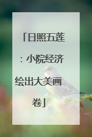 日照五莲：小院经济绘出大美画卷