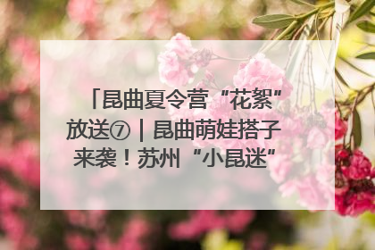 昆曲夏令营“花絮”放送⑦｜昆曲萌娃搭子来袭！苏州“小昆迷”姐弟期待同台演绎“姑苏水磨调”