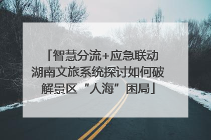 智慧分流+应急联动 湖南文旅系统探讨如何破解景区“人海”困局