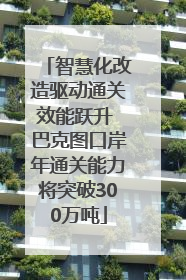 智慧化改造驱动通关效能跃升 巴克图口岸年通关能力将突破300万吨