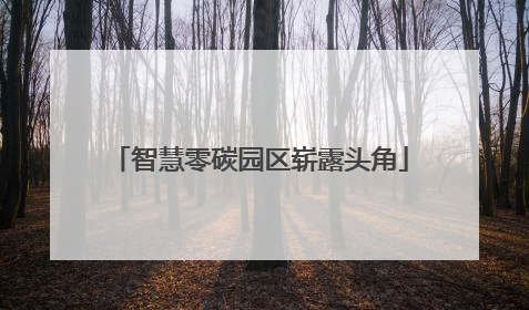 智慧零碳园区崭露头角