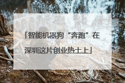 智能机器狗“奔跑”在深圳这片创业热土上