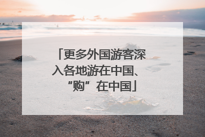 更多外国游客深入各地游在中国、“购”在中国