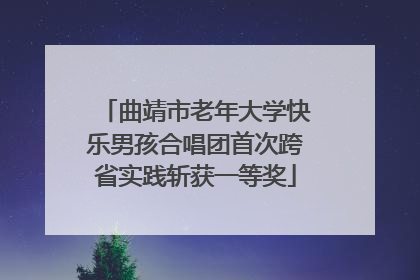 曲靖市老年大学快乐男孩合唱团首次跨省实践斩获一等奖