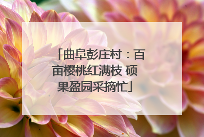 曲阜彭庄村：百亩樱桃红满枝 硕果盈园采摘忙