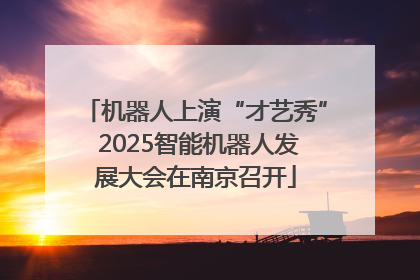 机器人上演“才艺秀” 2025智能机器人发展大会在南京召开
