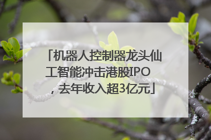 机器人控制器龙头仙工智能冲击港股IPO，去年收入超3亿元