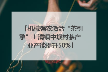 机械强农激活“茶引擎”！清镇中坝村茶产业产能提升50%