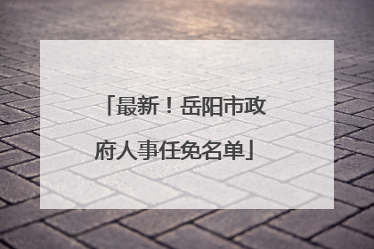 最新！岳阳市政府人事任免名单