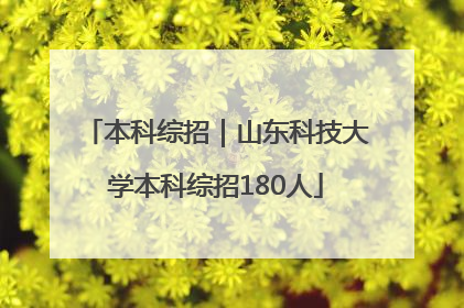 本科综招｜山东科技大学本科综招180人