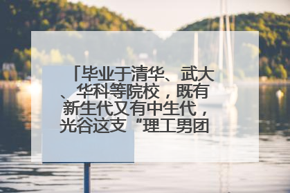 毕业于清华、武大、华科等院校，既有新生代又有中生代，光谷这支“理工男团”为何“出道”？