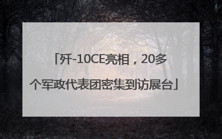 歼-10CE亮相，20多个军政代表团密集到访展台
