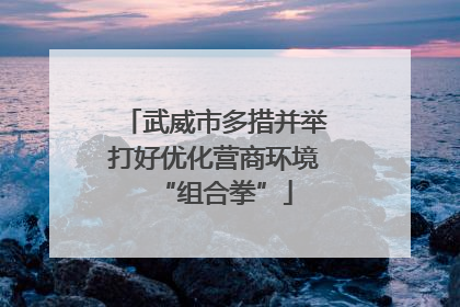 武威市多措并举打好优化营商环境“组合拳”