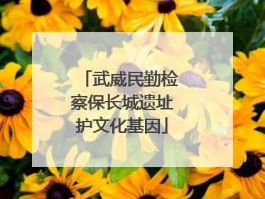 武威民勤检察保长城遗址护文化基因