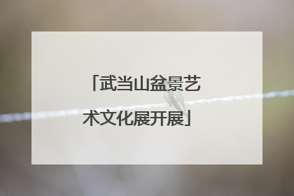 武当山盆景艺术文化展开展