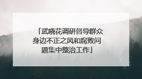 武晓花调研督导群众身边不正之风和腐败问题集中整治工作