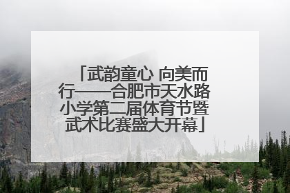 武韵童心 向美而行——合肥市天水路小学第二届体育节暨武术比赛盛大开幕