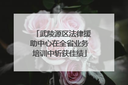 武陵源区法律援助中心在全省业务培训中斩获佳绩