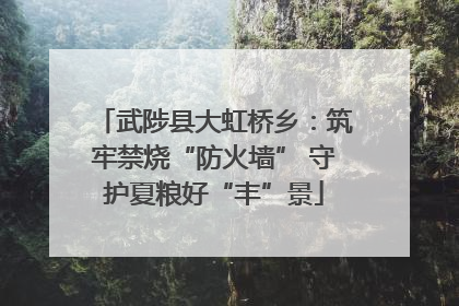 武陟县大虹桥乡：筑牢禁烧“防火墙” 守护夏粮好“丰”景
