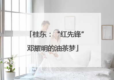 桂东：“红先锋”邓耀明的油茶梦