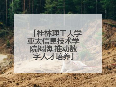 桂林理工大学亚太信息技术学院揭牌 推动数字人才培养