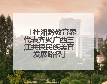 桂湘黔教育界代表齐聚广西三江共探民族美育发展路径