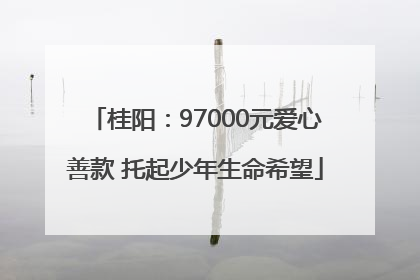 桂阳：97000元爱心善款 托起少年生命希望