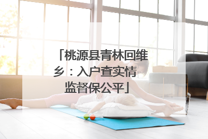桃源县青林回维乡：入户查实情 监督保公平