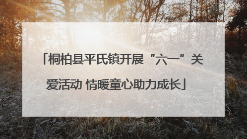 桐柏县平氏镇开展“六一”关爱活动 情暖童心助力成长