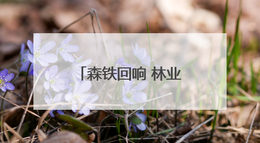森铁回响 林业老镇的文旅新韵