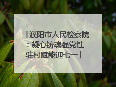 濮阳市人民检察院：凝心铸魂强党性 驻村赋能迎七一